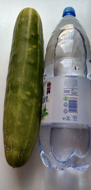  - -CASTRAVETI - MARCHETMORE