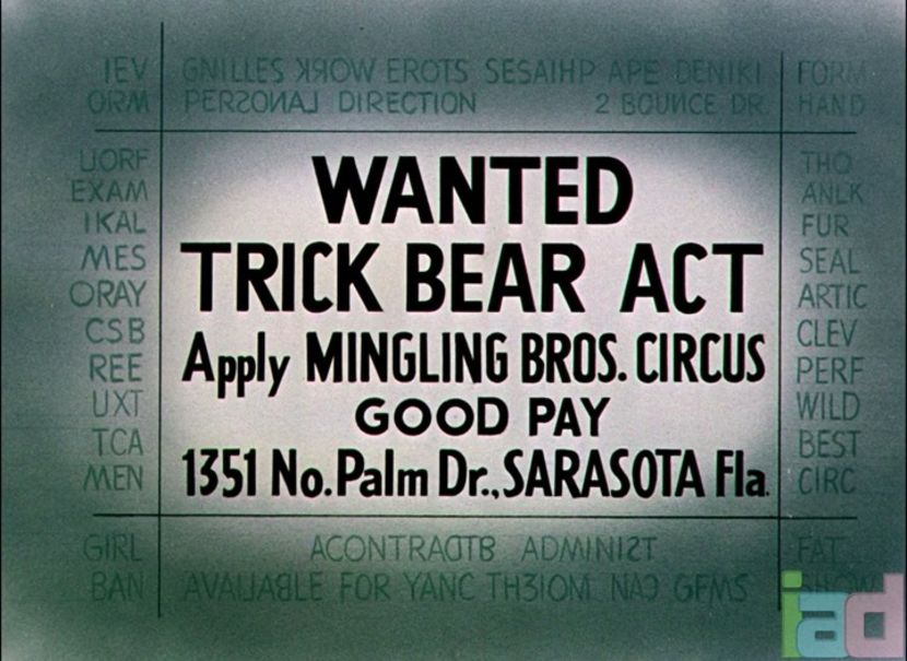 Bear Feat - 1949 - Bear Feat