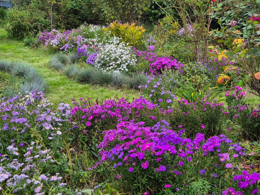 30c3051d-1c30-4b58-9797-df5b332ad967-1_all_9846 - 2024_Vara_Toamna