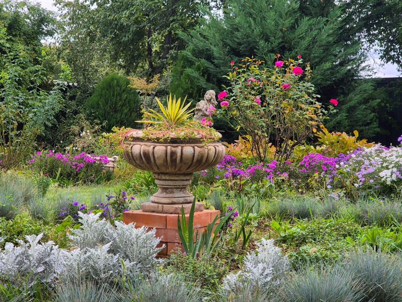 30c3051d-1c30-4b58-9797-df5b332ad967-1_all_9836 - 2024_Vara_Toamna