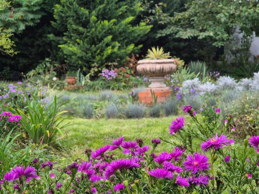 30c3051d-1c30-4b58-9797-df5b332ad967-1_all_9794 - 2024_Vara_Toamna