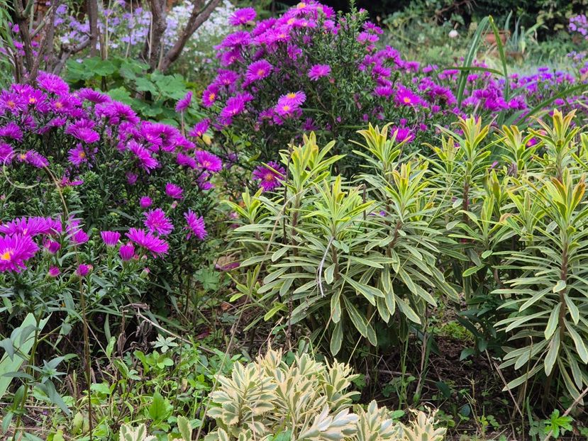 30c3051d-1c30-4b58-9797-df5b332ad967-1_all_9787 - 2024_Vara_Toamna