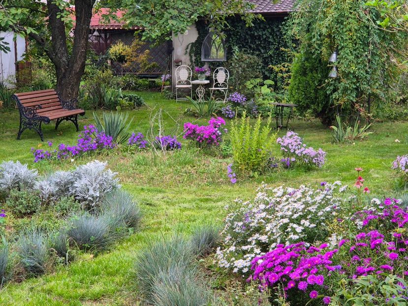 30c3051d-1c30-4b58-9797-df5b332ad967-1_all_9831 - 2024_Vara_Toamna