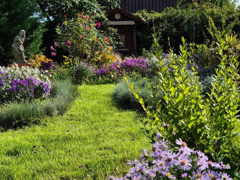 30c3051d-1c30-4b58-9797-df5b332ad967-1_all_9900 - 2024_Vara_Toamna