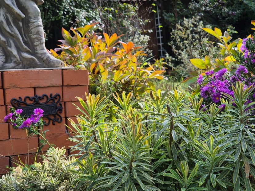 30c3051d-1c30-4b58-9797-df5b332ad967-1_all_9883 - 2024_Vara_Toamna