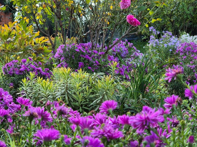 30c3051d-1c30-4b58-9797-df5b332ad967-1_all_9893 - 2024_Vara_Toamna