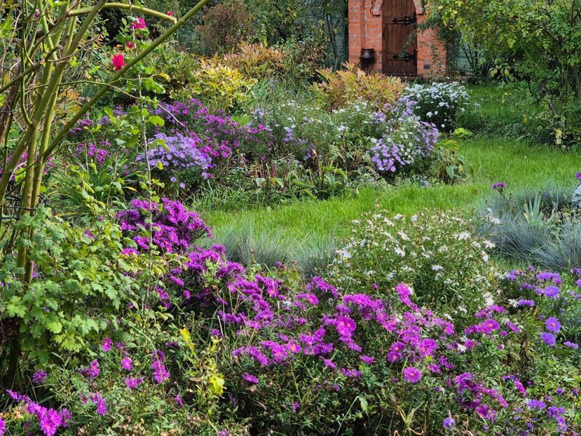 30c3051d-1c30-4b58-9797-df5b332ad967-1_all_9991 - 2024_Vara_Toamna