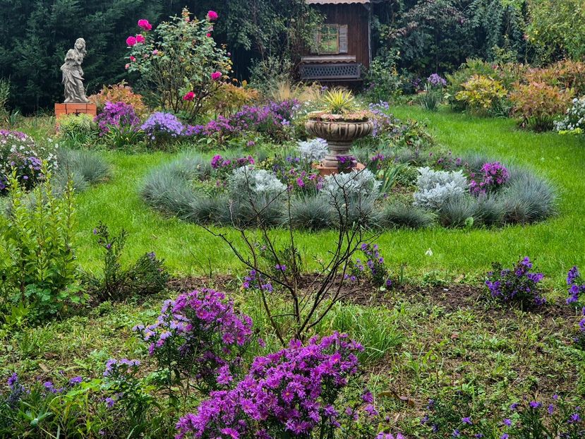 30c3051d-1c30-4b58-9797-df5b332ad967-1_all_19117 - 2024_Vara_Toamna