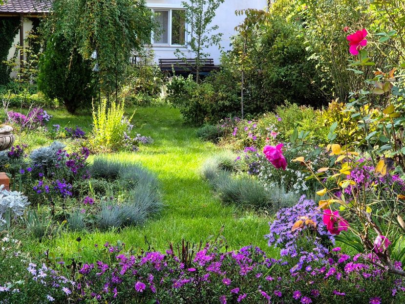 Octombrie 2024 - 2024_Vara_Toamna