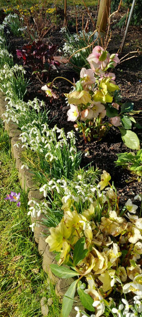  - 2024 - 04 - 2025 - 00 - Iarna