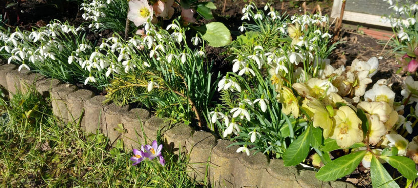  - 2024 - 04 - 2025 - 00 - Iarna