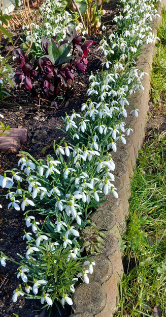  - 2024 - 04 - 2025 - 00 - Iarna