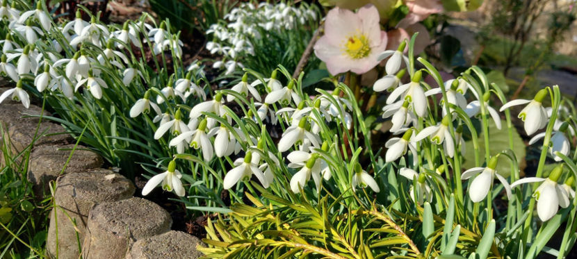  - 2024 - 04 - 2025 - 00 - Iarna