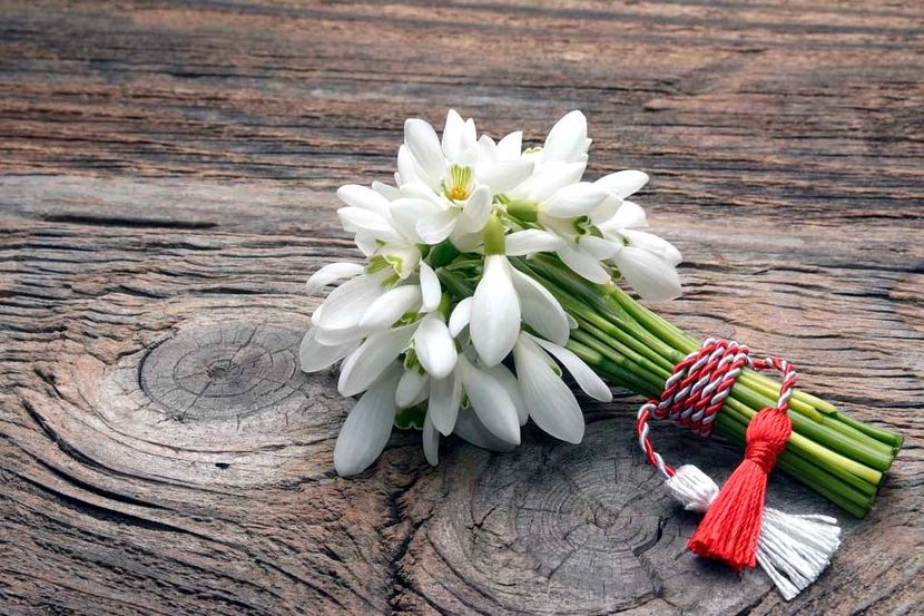 ghiocei-mar-2021 - My friends Gheorghe!