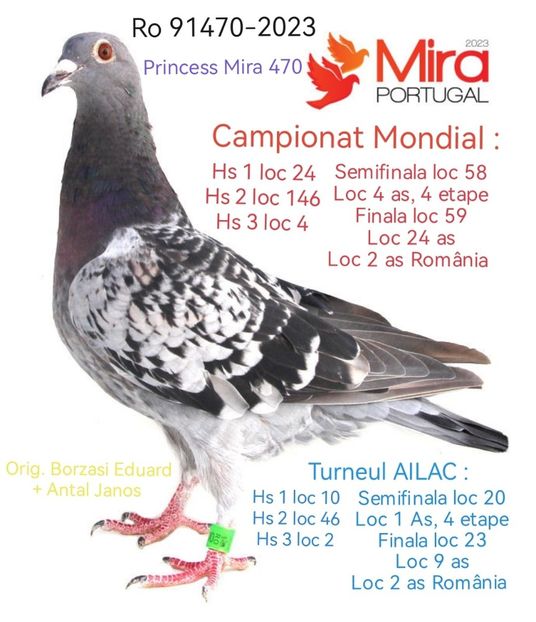  - Finaliști olr 2020 2024