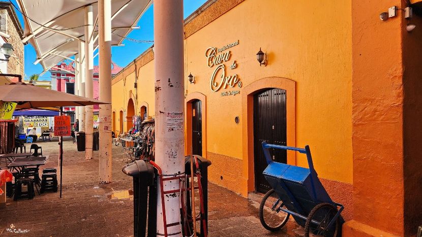 Tequila Cava de Oro Shop - --- MEXICO