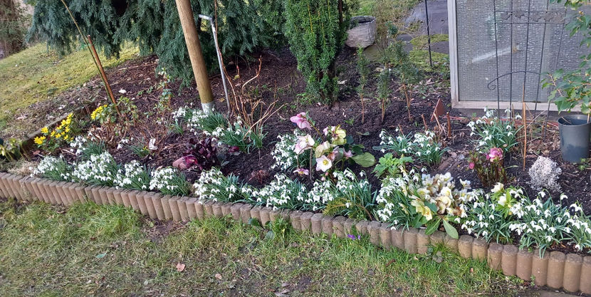  - 2024 - 04 - 2025 - 00 - Iarna