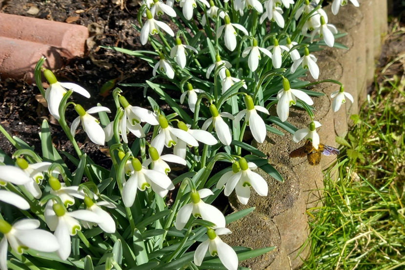  - 2024 - 04 - 2025 - 00 - Iarna