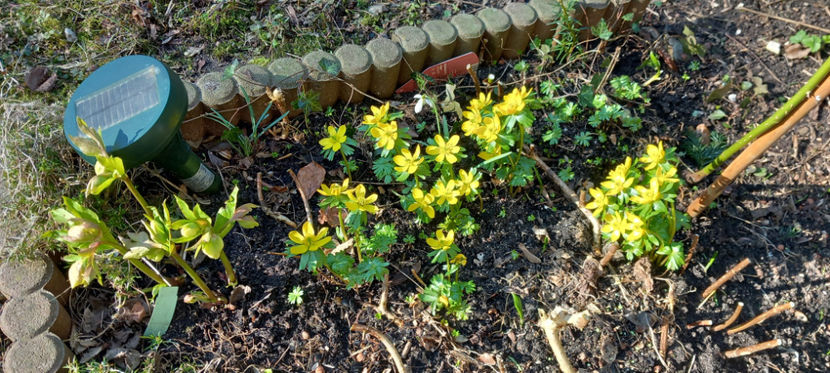  - 2024 - 04 - 2025 - 00 - Iarna