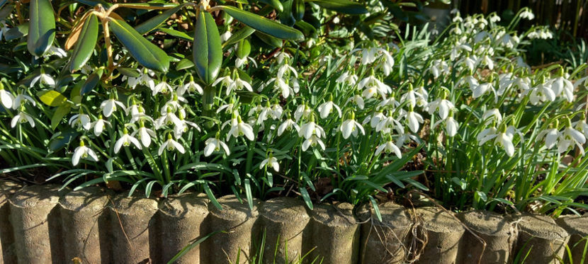  - 2024 - 04 - 2025 - 00 - Iarna