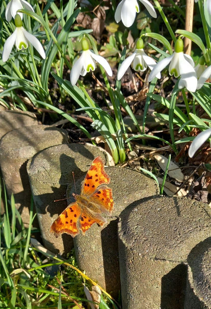  - 2024 - 04 - 2025 - 00 - Iarna