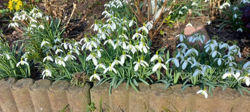  - 2024 - 04 - 2025 - 00 - Iarna