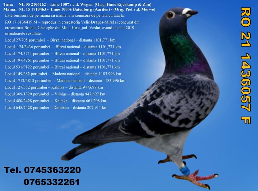 RO 21 1436057 F Pret 200 Lei + transportul - ARHIVA