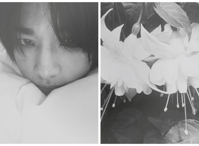 ⠀⠀⠀⠀⠀ℌỴỤṆJ̣!̣Ṇ⠀ ⁽ 10ᵗʰℳar ⁾⠀ ⎯⎯⠀⠀( ˶ᵔ ᵔ) - Rough and Suave