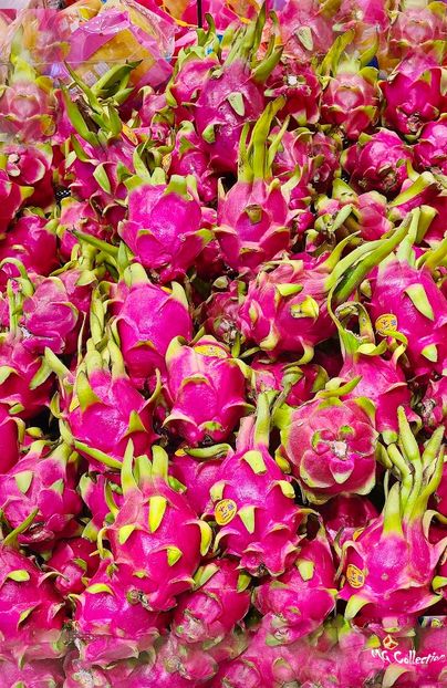 Dragon Fruit 1 - J - VEGS - FRUITS- Legume Fructe