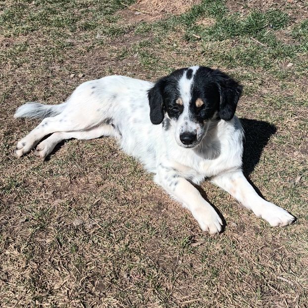  - AAAAAAAA__FLORA ȘI MUSTAȚĂ