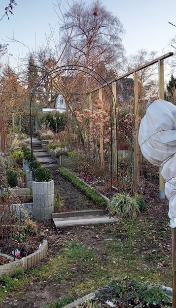  - 2024 - 04 - 2025 - 00 - Iarna