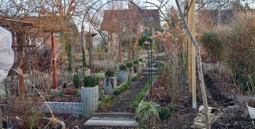 10. Martie. Nopti cu ger, inca iarna! - 2024 - 04 - 2025 - 00 - Iarna