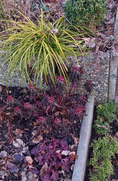  - 2024 - 04 - 2025 - 00 - Iarna