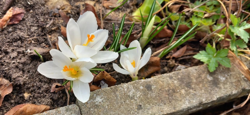  - 2024 - 04 - 2025 - 00 - Iarna