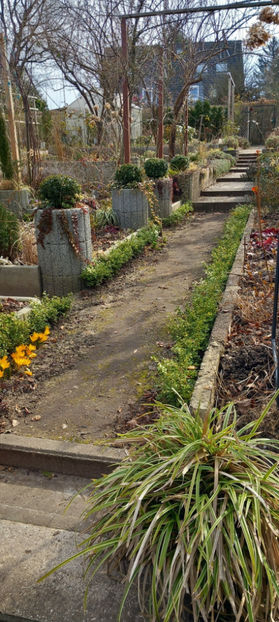  - 2024 - 04 - 2025 - 00 - Iarna