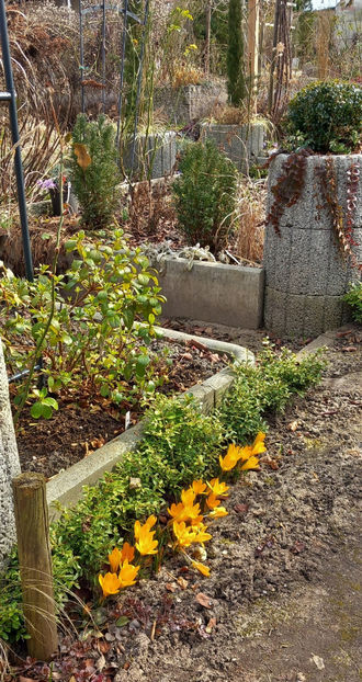  - 2024 - 04 - 2025 - 00 - Iarna