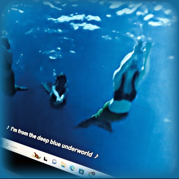 ♡ Day 86 ; 08.02.2025 - Birds of a Feather - STREAK