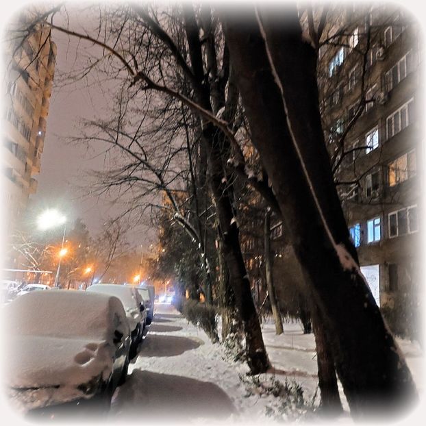 ♡ Day 90 ; 12.02.2025 - Birds of a Feather - STREAK