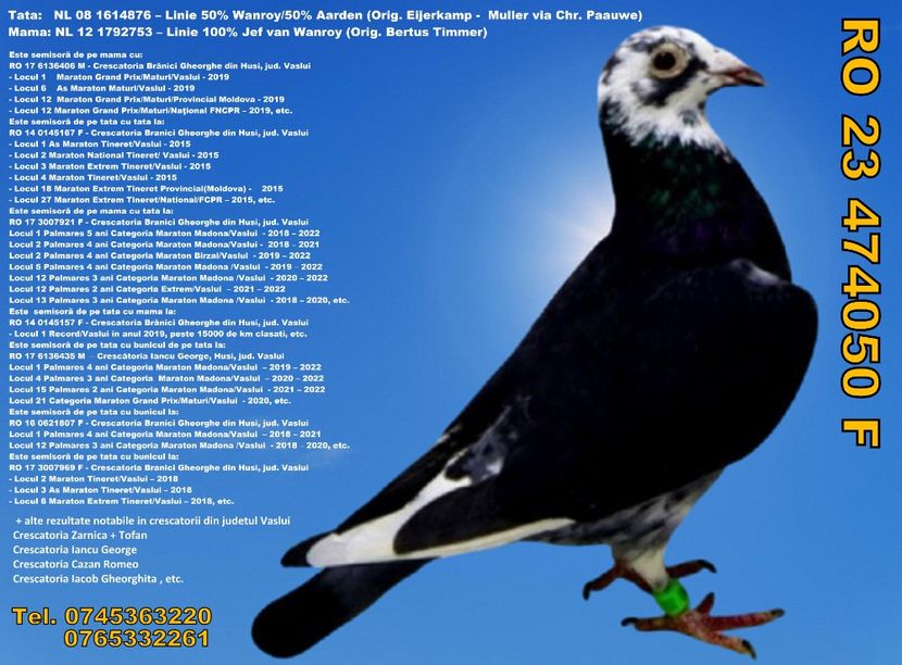 RO 23 474050 F REZERVATA GAITAN DUMITRU DAMBOVITA Pret 300 lei + transportul - ARHIVA