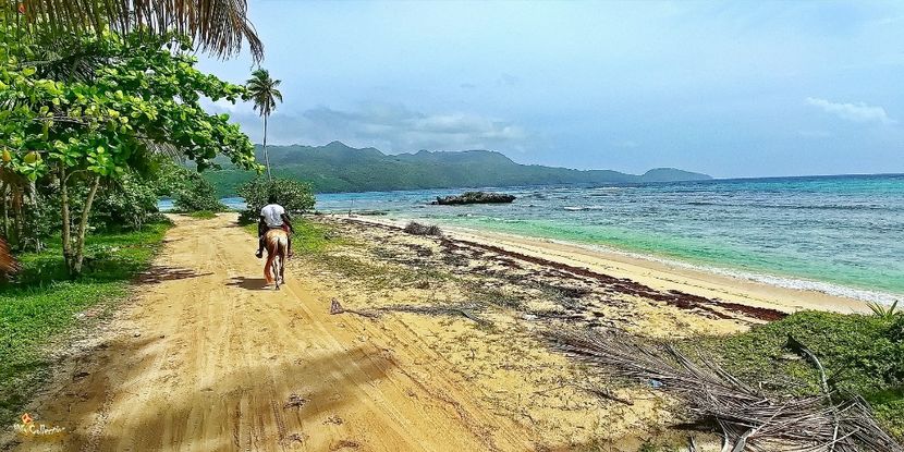 Beautiful Dominican Rep 12 - --- DOMINICAN REPUBLIC