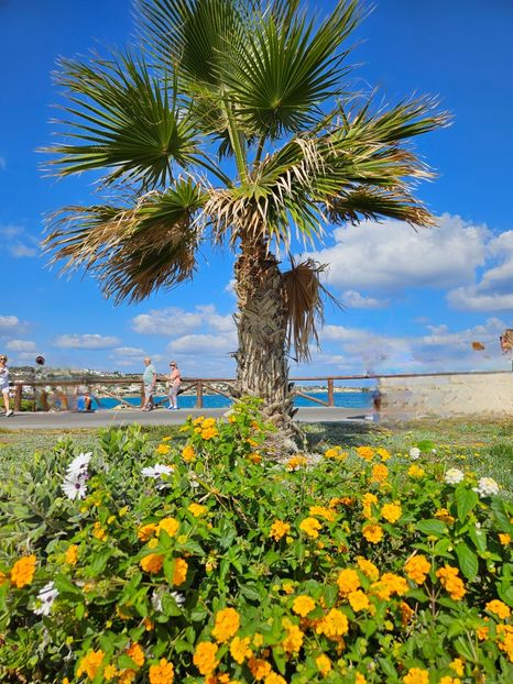 8c35c948-e628-40cf-90f8-e37ea8250ec6-1_all_12815 - Vacanta 2025 Creta
