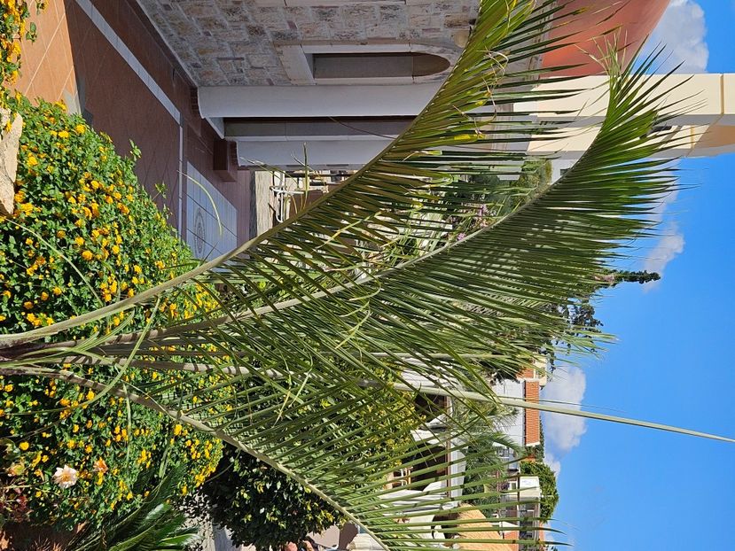 8c35c948-e628-40cf-90f8-e37ea8250ec6-1_all_12938 - Vacanta 2025 Creta