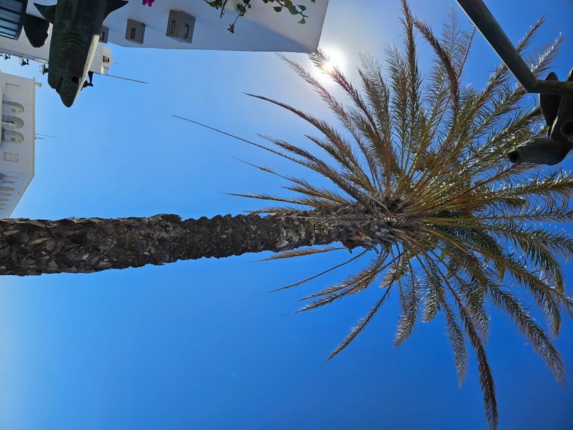 8c35c948-e628-40cf-90f8-e37ea8250ec6-1_all_13168 - Vacanta 2025 Creta