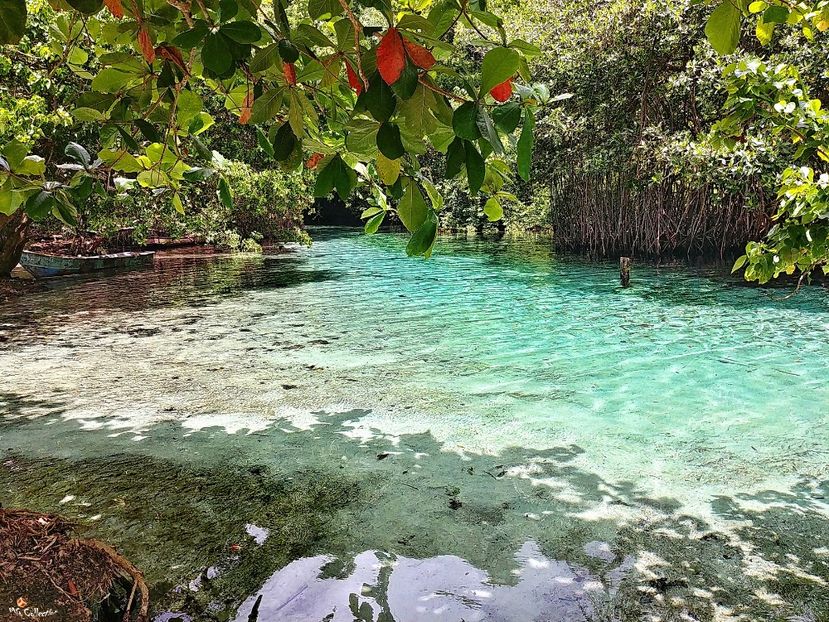 Beautiful Dominican Rep - --- DOMINICAN REPUBLIC