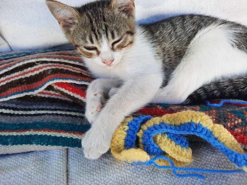  - Hamdmade by Nicole France