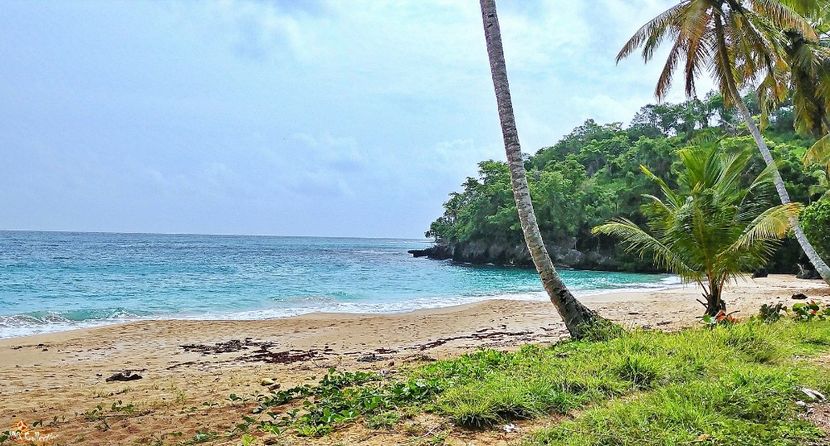 Beautiful Dominican Rep 13 - --- DOMINICAN REPUBLIC