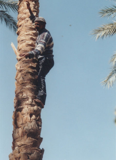  - Tunisia