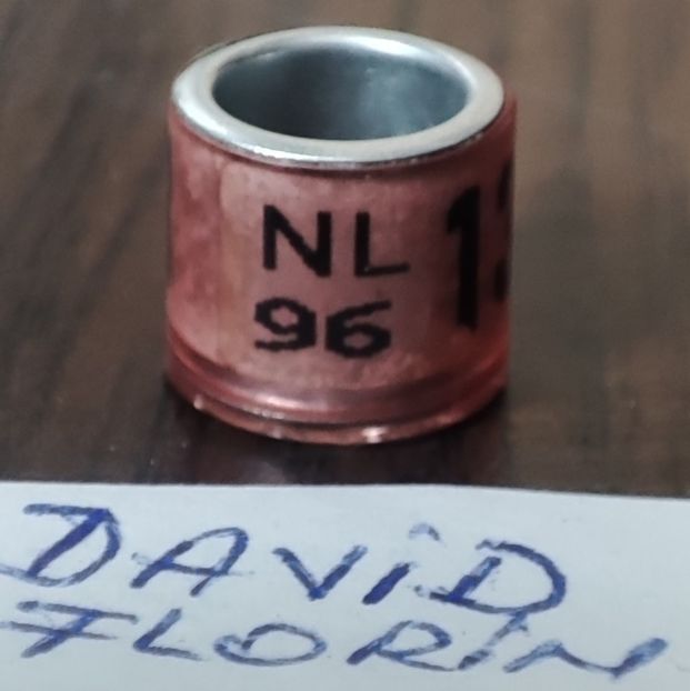 1996-Olanda - Olanda