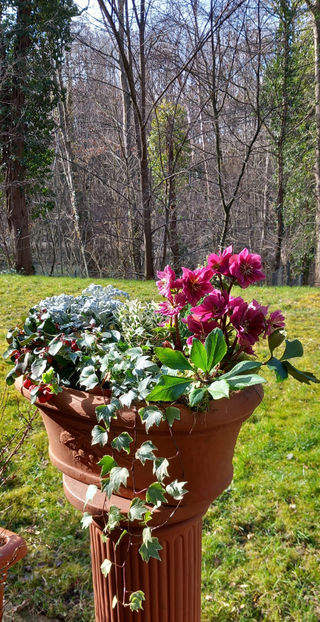  - 2024 - 04 - 2025 - 00 - Iarna