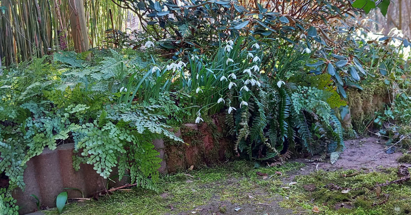  - 2024 - 04 - 2025 - 00 - Iarna